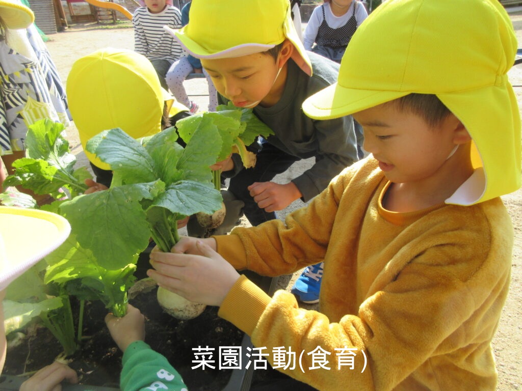 �؉��^��(�H��)